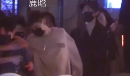 明星吃瓜被爆料群殴视频,娱乐圈暴力事件引发热议